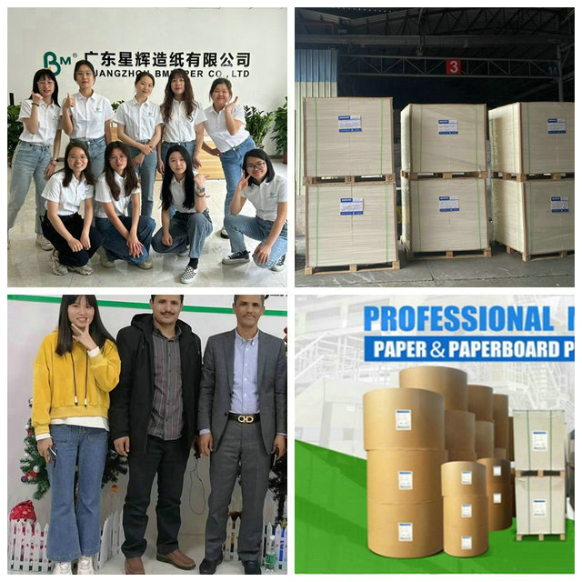 Food Grade  260 + 15PE Coated White Cupstock Paper Board For Coffee Cup