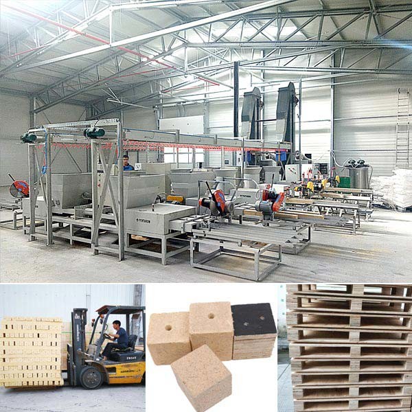 Italy Double Head Sawdust Wood Square Pallet Blocks Machine