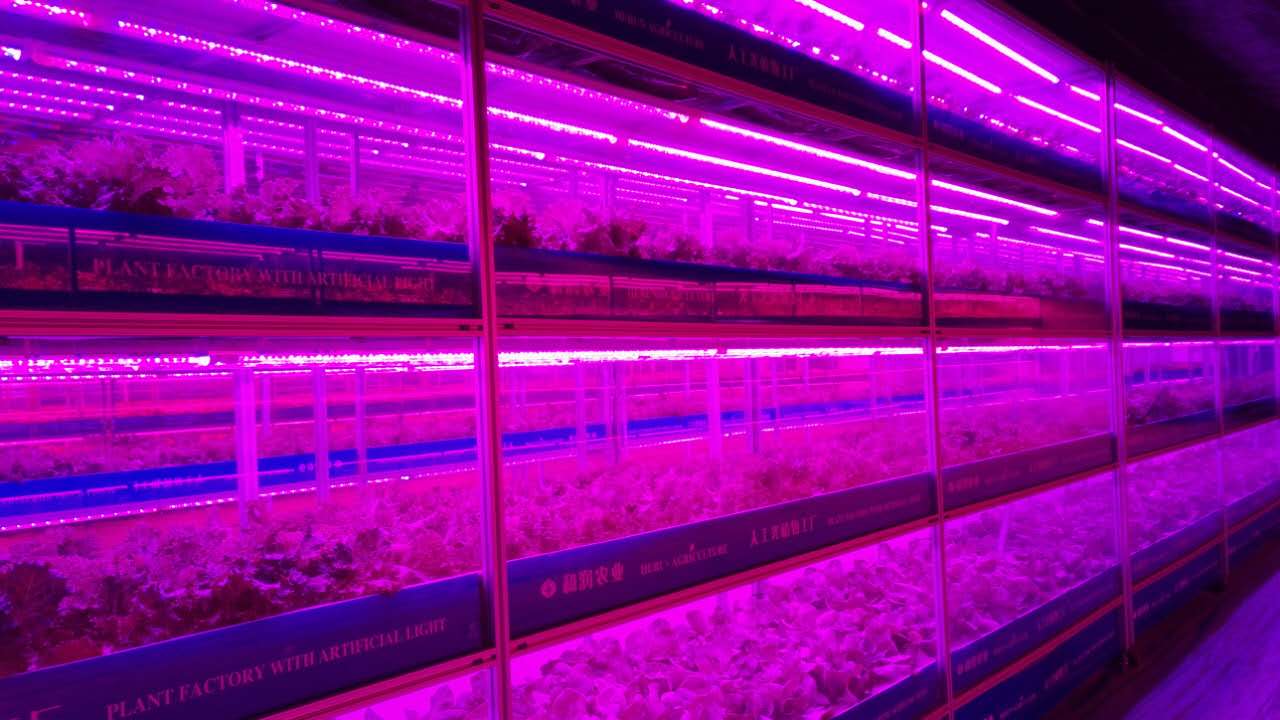 Vertical Farming Plant NFT Hydroponic Smart Garden White 110V/220VAC