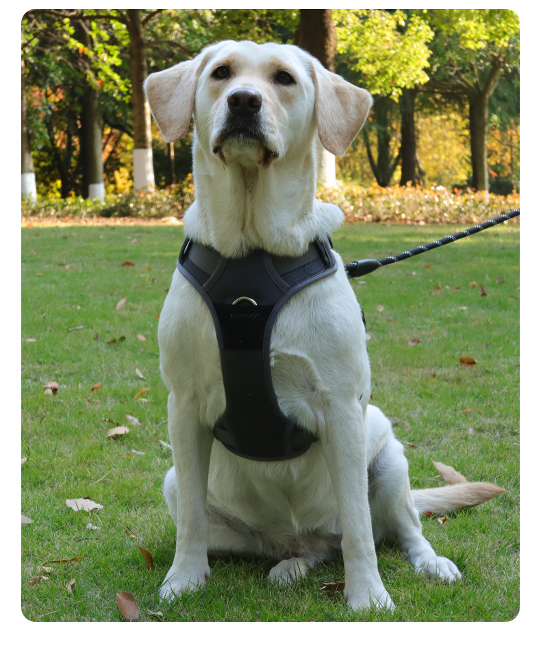 Pet Massage Chest Harness Reflective Breathable Mesh Vest Style For Small Medium And Large Dogs