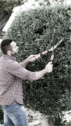 TU43 Weed Type Two Stroke Petrol Grass Cutter Machine Brush Cutter Backpack Type 42.7 CC
