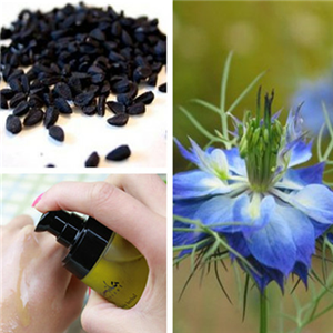 100% Natural Anti-oxidant Essential Black Cumin Seed Oil