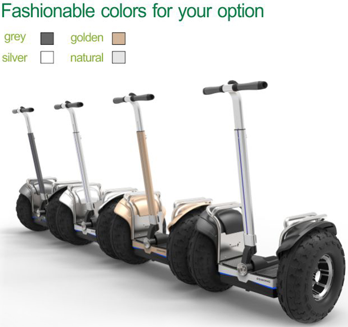 Self Balancing Adult Powerful Electric Scooters Two Wheel Patrol Use 2400w
