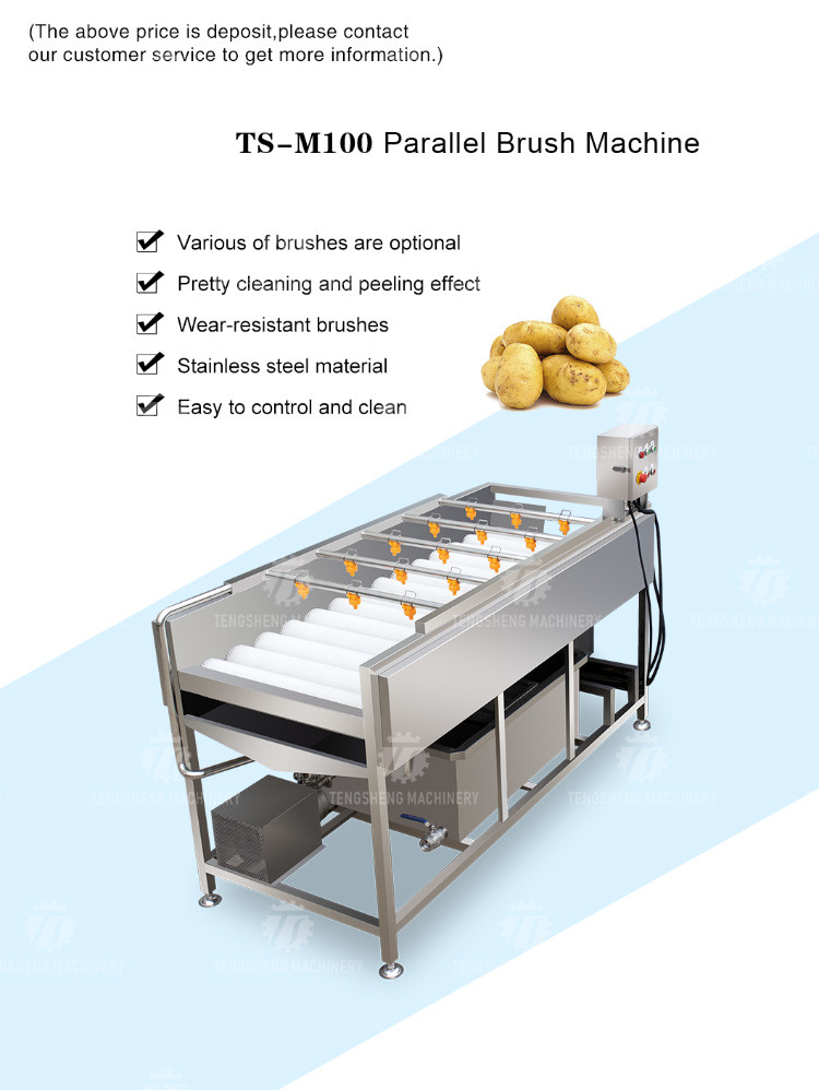 2.5KW Potato flat roller cleaning equipment seafood cleaning machine potato cleaning machine equipment