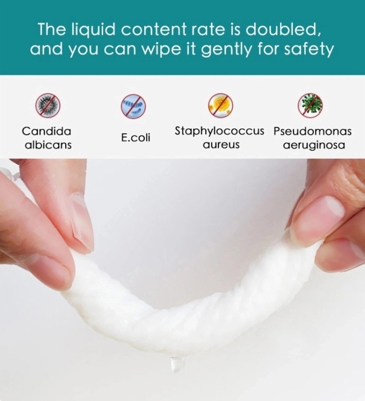 Anti-Bacterial Disposable Sanitizing Cleaning 75% Ethanol Disinfecting Wet Wipes