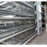 Buy cheap Poultry Cage Broiler Farm Equipment Automatic Battery Cages System For Broiler from wholesalers