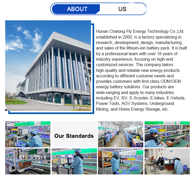 OEM ODM LiFePO4 Lithium Battery 48V 51.2V 100Ah 150Ah 200Ah Customized lithium battery packs