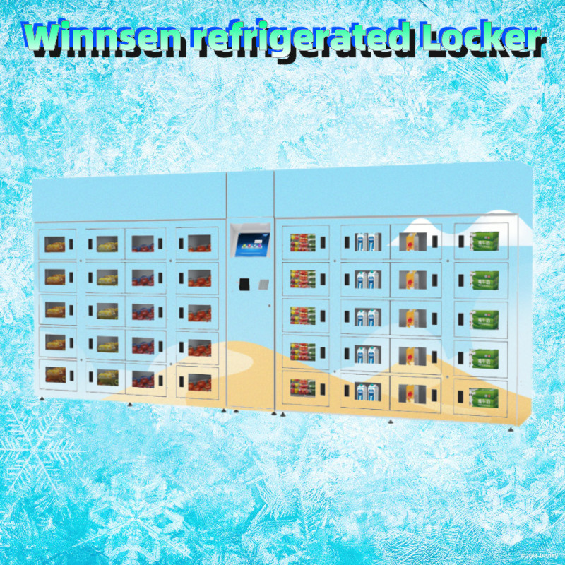 Winnsen Transparent Refrigerated Locker color size customized frozen locker