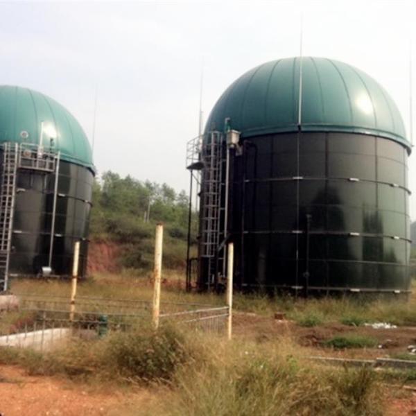 Quality Anti Freezing Dual Membrane Gas Domes On Digester With Fire Protection for sale