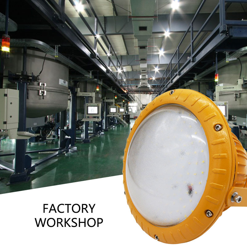 Customized Explosion Proof LED Lamp Anti Corrosion Grade WF2 2700K - 6500K