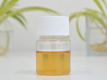 Cinnamon Extract cinnamon bark extract 10-30% Cinnamon Polyphenols