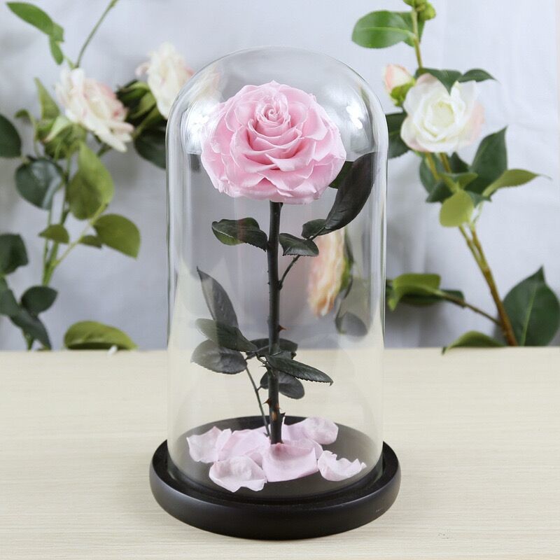 OEM Perfect Valentines Day Gifts Multiple Colours Preserved Everlasting Real Rose Flower in Glass Dome