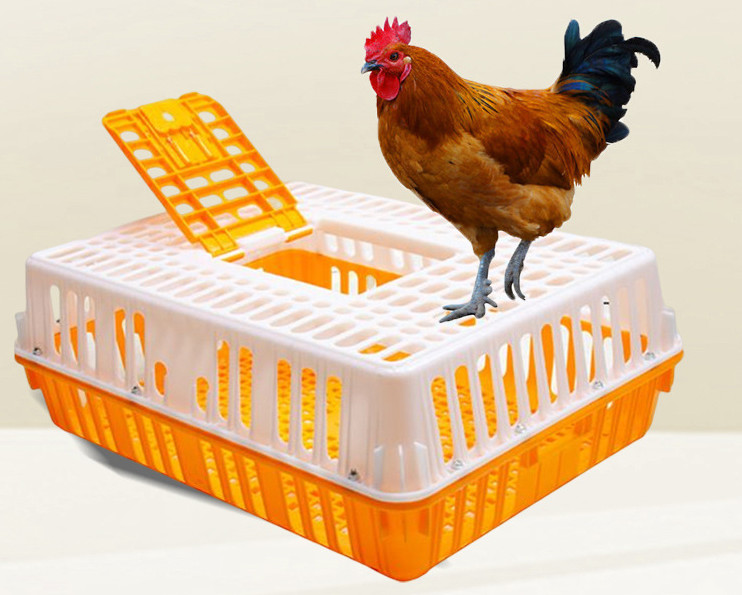 Poultry Carrier Crate Chicken Transport Cage Bird Chicken Carrier Travel Crate Basket Box