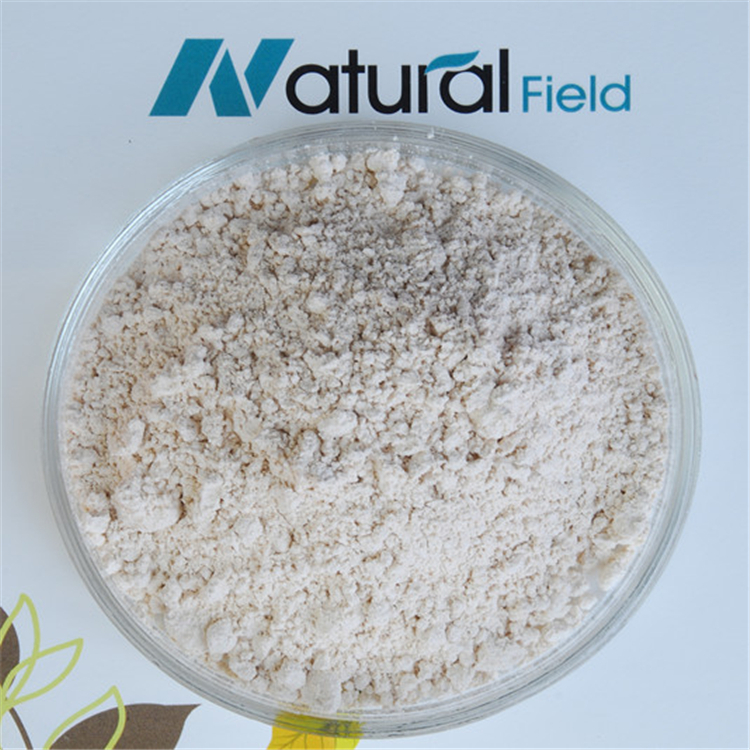 Best Sells Product Green Coffee Bean Extract Powder Chlorogenic Acid