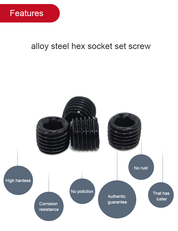 DIN Standard M2 M3 M4 M6 M8 M10 Steel Set Screw with Black Oxide Finish and Hexagon Socket