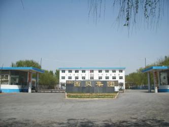 Henan Xibei Latex Co.Ltd.