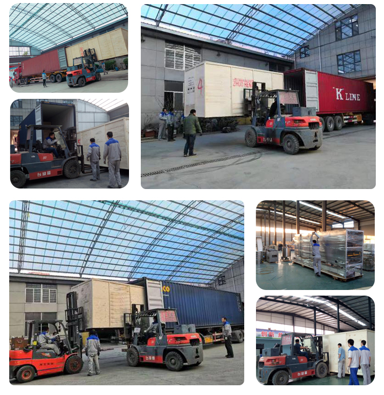 3000 KG Pet Food Processing Line for Large Scale Manufacturing in Food Beverage Shops
