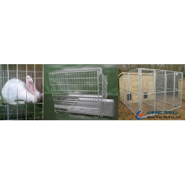 Stainless Steel Welded Wire Mesh Used as Cages for Birds and Mammals.