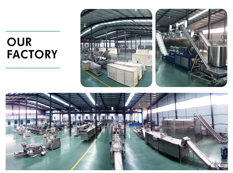 Automatic Dog Food Manufacturing Equipment with Versatile Functionality and Condition