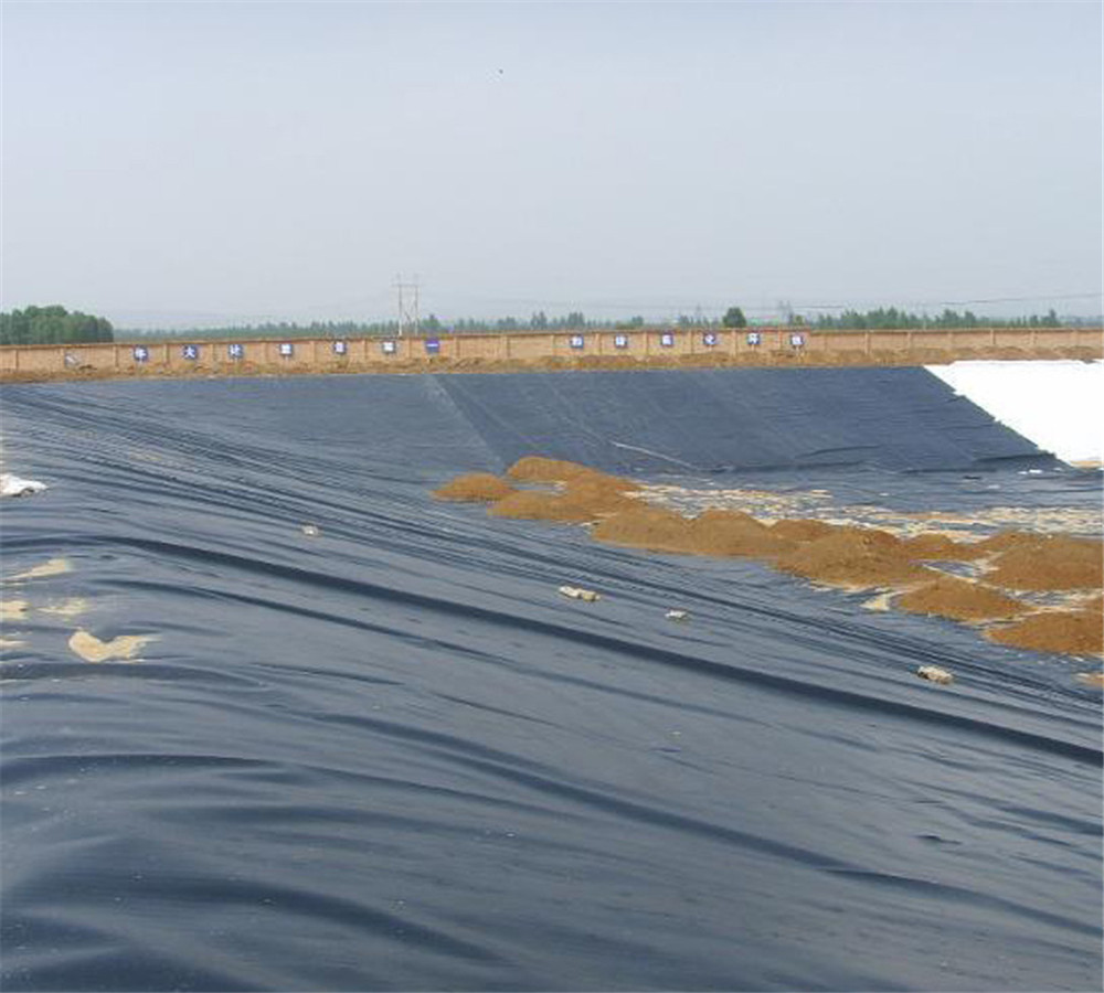 Waterproof 1mm HDPE Geomembrane Pond Liner for Water Tank and Swimming Pool at Affordable