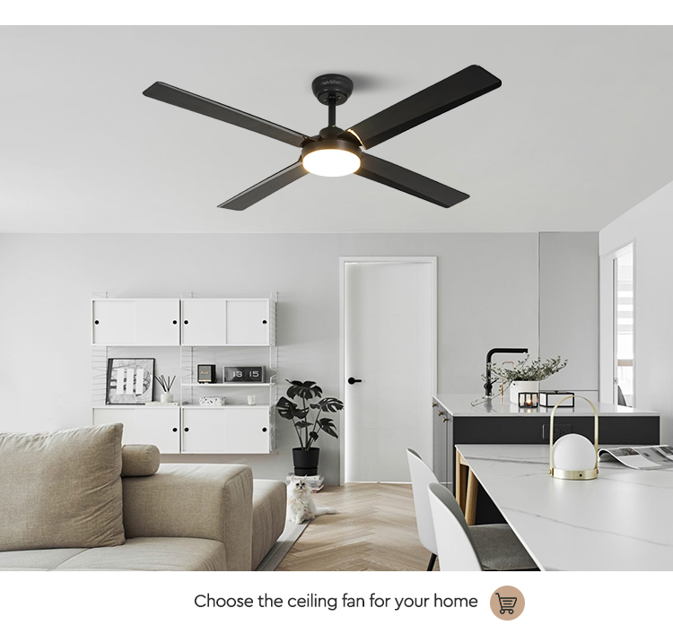 ceiling fan