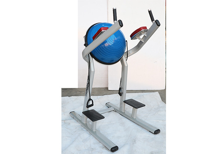 Environmentally Friendly Dip And Leg Raise Machine Dimensional Stable With Bosu Ball