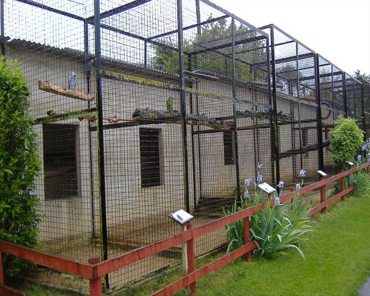 Galvanized bird aviary cage