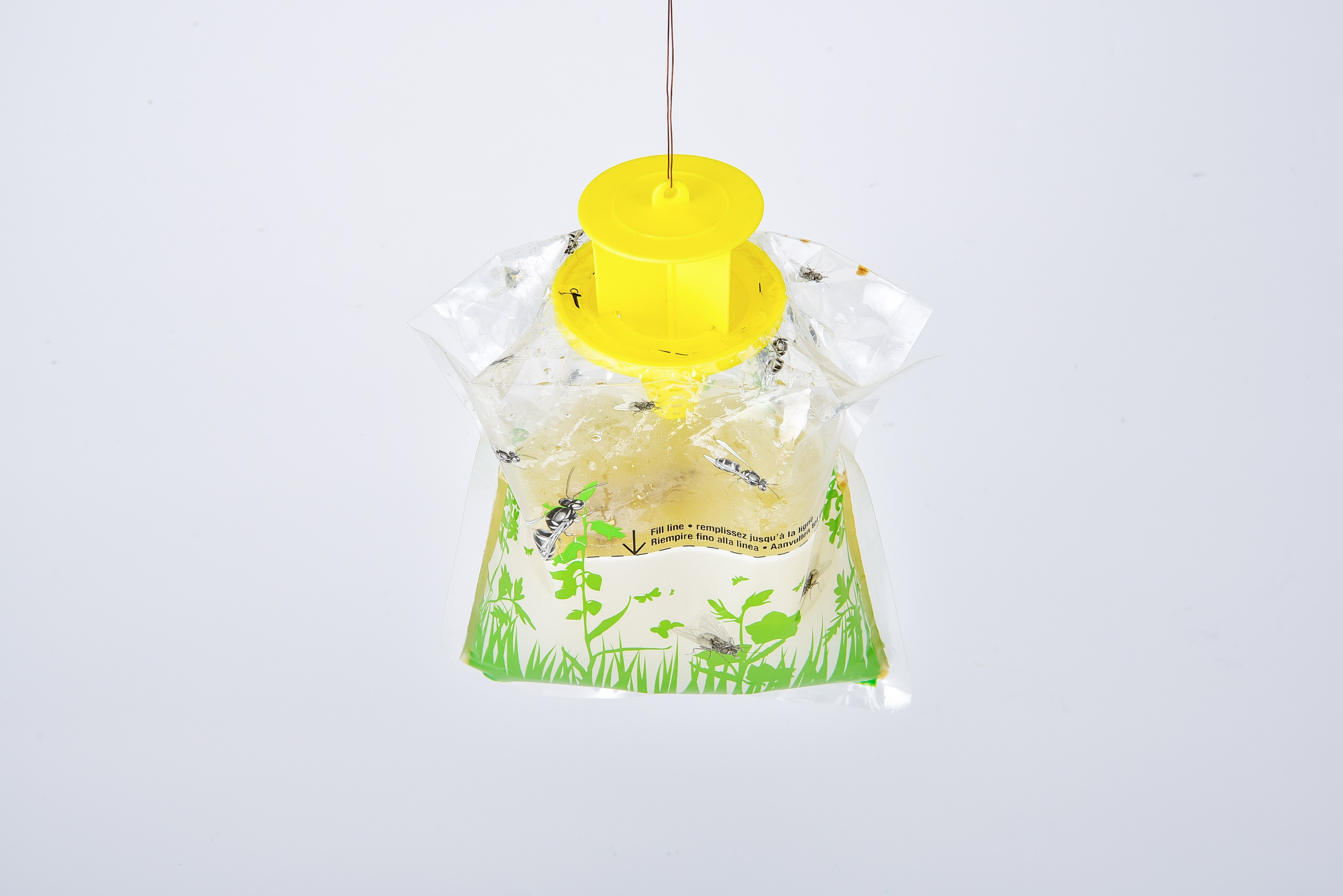 Square Eco Material Mini Fruit Fly Trap Bottle Target Lure Plastic Feature for Indoor