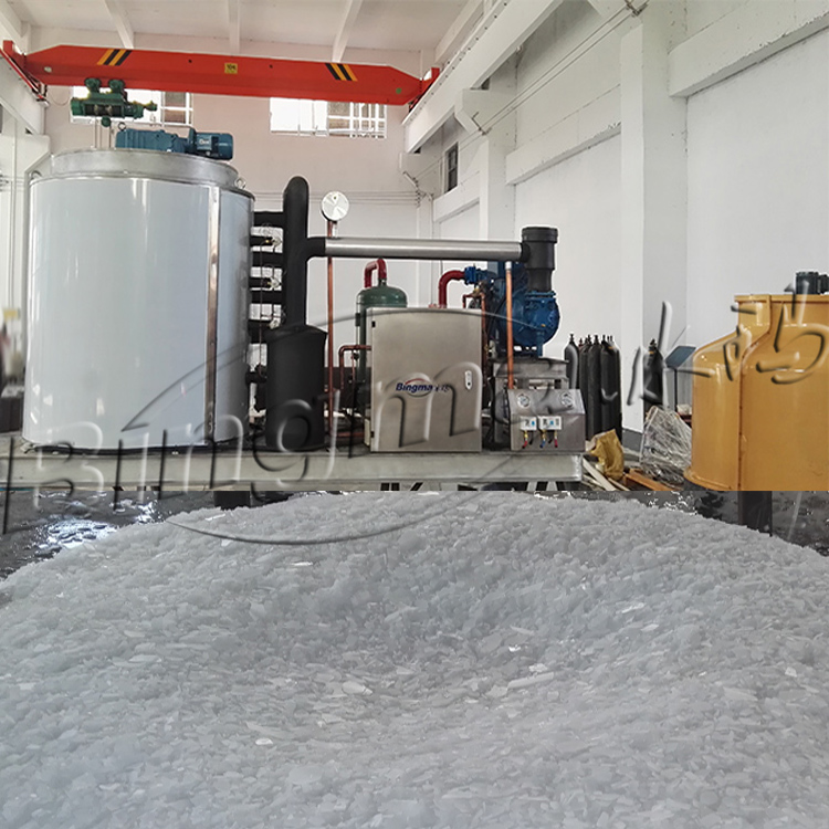 Hot Sales Products Freshwater Flake Ice Making Machine and transparent