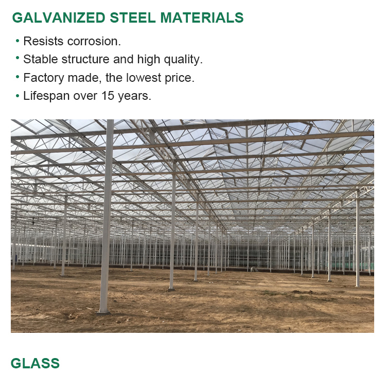 Multi-span Agricultural Glass Greenhouse with Film Covering Width 8m or Customizable