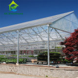 SS430 SS304 Agricultural Exhaust Fans Wet Wall Greenhouse Cooling System