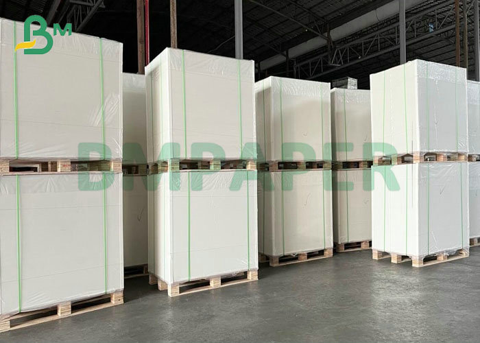 High Quality Good Smooth 250gsm C1S Ivory Board For Food Packaging 
