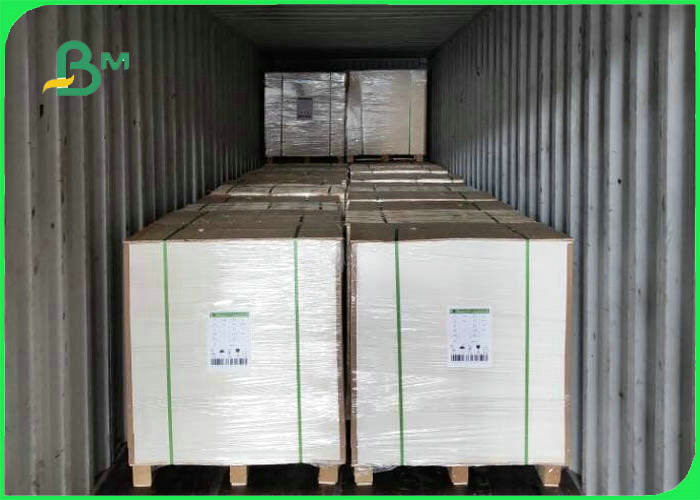 Grade AAA FBB Board 250gsm - 450gsm 70*100cm GC1 Paper Board For Printing