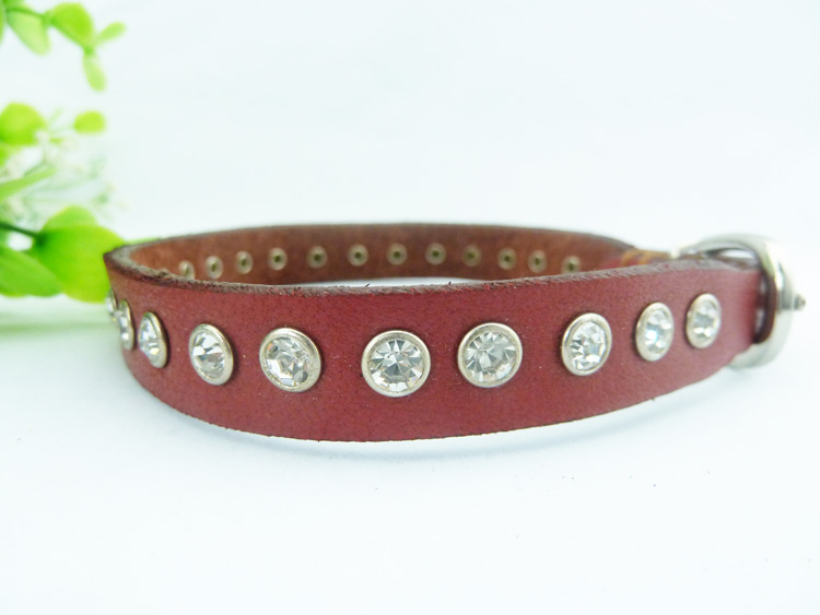 dog leather diamond-collars