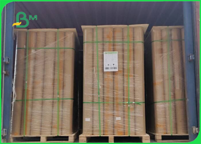  High Printability CAD Plotter Paper For Engineering Design 150ft & 300ft