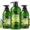 Buy cheap Natural Olive Extract Summer Oil Control Beauty Hair Shampoo For Dry Hair from wholesalers