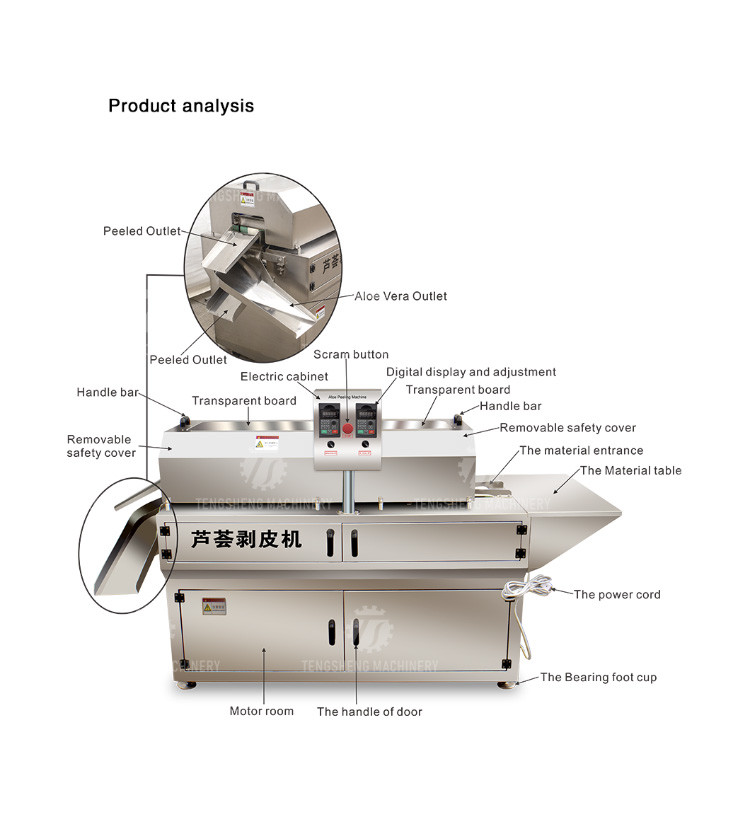 1500KG/H Large supply of peeling machine peeling aloe vera peeling machine yield large peeling effect