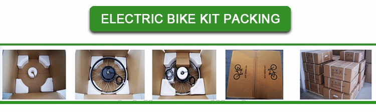 Professional 36V 250w/350W Electric bicycle Kit with water proof ,lithium battery in China