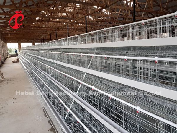 Premium H type Layer Battery Cage Price In Nigeria stable Iris