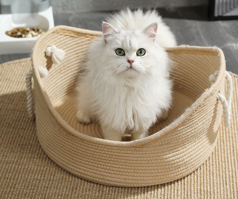 cat bed rattan