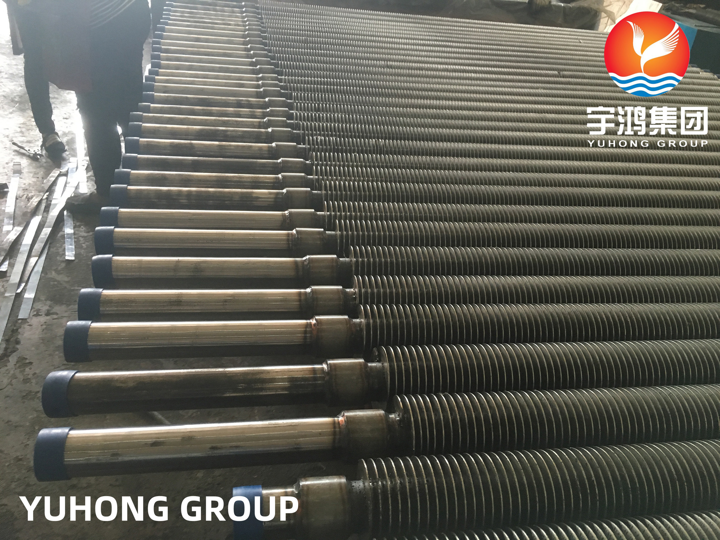 ASTM A213 T12 Alloy Steel High Frequency Welded Finned Tube For Heat Exchanger