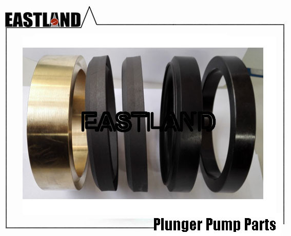 API Oil Well Frac & Cement Plunger Pump Hard-chrome Plated Plunger