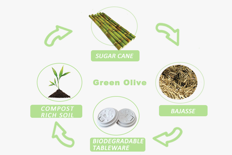 80mm Molded Disposable Sugarcane Bagasse Cup Lids