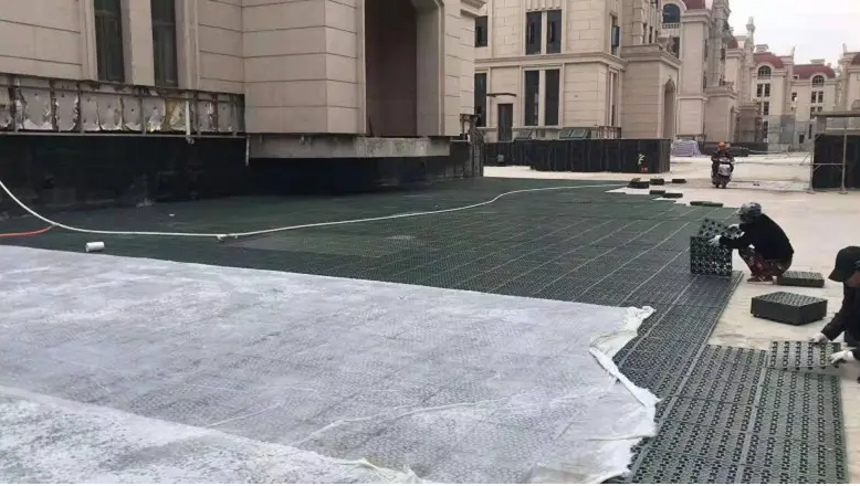 Modern Engineering Construction Waterproofing Water Storage Drainage Board for Roof Garden