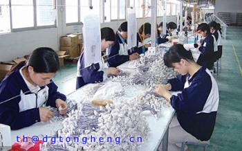Dongguan Tongheng Electronics Co., Ltd.