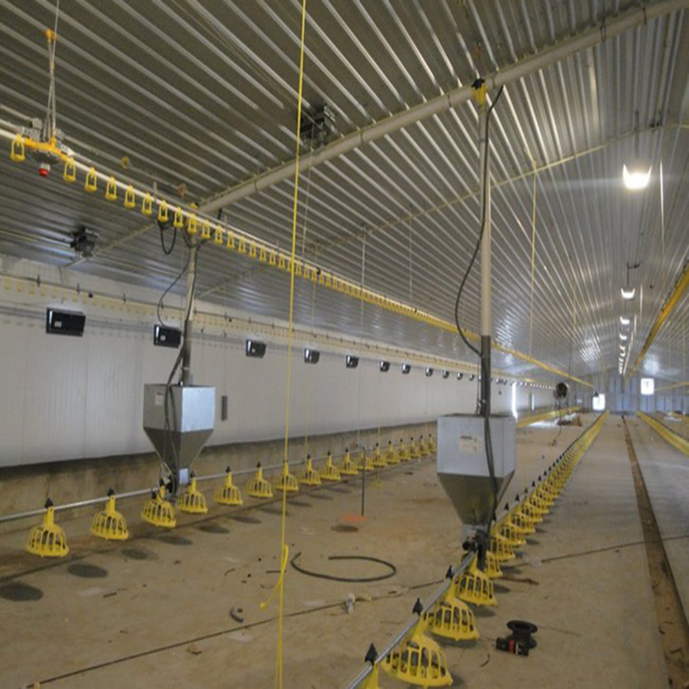 Modern H Beam Steel Structure Poultry House Long Span Steel Frame Farm Buildings