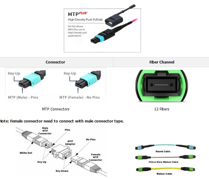 12 Fibers MTP Female To MTP Female OM3 3.0mm LSZH MTP Patch Cord Custom Meters