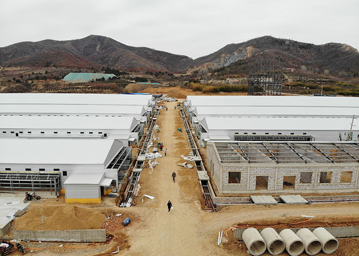 Environmental Controlled Layer broiler chicken shed construction 275g Zinc Coatings