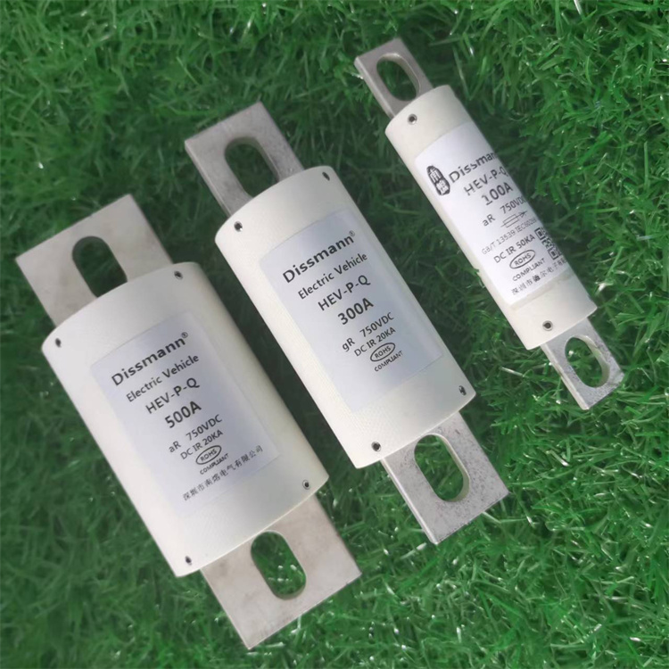 750VOLT Standard Blade Car Fuses 700Amp High Rated Current Fuse Made in China