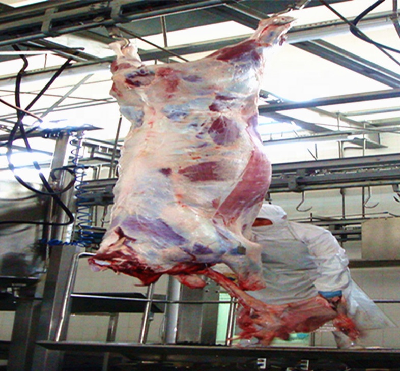 ISO9001 CE Slaughterhouse Cow Machine Stainless Steel 304 Cow Feet Hair Removing Machine